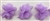 FLR-TRM-102-LILAC. Flower Trim - Exquisite Live Colors with Raised 3-Dimensional Flowers - Price Per Yard. 2 Inch Wide