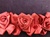 LNS-FLR-144-RED.  Floral Lace/Trim