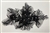 APL-BED-128-BLACK-3D. Beaded Applique - 3D on Net. - Black with Crystals - 12" x 7" - Each $5