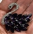 BRO-RHS-402-SILVERPURPLE.  Purple Rhinestone Brooch on Silver Backing - Swan