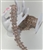 CHN-RHS-030-ROSEGOLD.  CRYSTAL RHINESTONE ON ROSEGOLD CHAIN - 1 INCH
