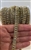CHN-RHS-053-3ROWS-GOLDAB. Multi-Color AB Crystal Rhinestones on Gold Metal Chain - 3/8" Inch Wide