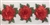 FLR-TRM-103-CORAL. Flower Trim - Exquisite Live Colors with Raised 3-Dimensional Flowers - CORAL - Price Per Yard: $7. 4.5 Inch Wide
