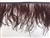 FTR-OST-100-BROWN. Ostrich Feather Brown - 7 INCH