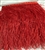 FTR-OST-100-RED. Ostrich Feather Red - 7 INCH