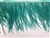 FTR-OST-100-TEAL. Ostrich Feather Teal - 7 INCH