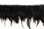 FTT-ROO-101-BLACK.  5.0"-wide Rooster Feather On Tape