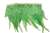 FTT-ROO-101-GREEN