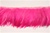 FTT-ROO-101-PINK.  5.0"-wide Rooster Feather On Tape