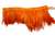 FTT-ROO-101-RED