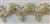 LNS-BBE-101-GOLD.  3.0"-wide Bridal Lace with Beads - Gold