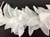 LNS-FLR-116-WHITE.  Non-Stretch Floral Lace