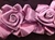 LNS-FLR-144-DUSTYROSE.  Floral Lace/Trim