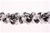 LST-FLR-119-BLACKWHITE.  Stretch Floral Lace