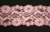LST-REG-213-PINK.  2.0"-wide Double Scallop Stretch Lac