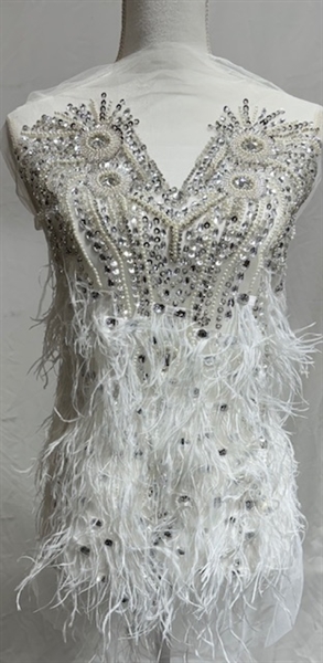 RHS-BOD-080-CLEARWHTE. Clear Crystal Rhinestone Bodice with Clear Beads and White Feathers on a Shear White Tulle- 15" x 27"