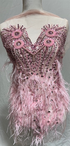 RHS-BOD-080-PINK. Pink Crystal Rhinestone Bodice with Pink Beads and Pink Feathers on a Shear Pink Tulle- 15" x 27"