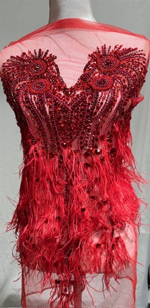RHS-BOD-080-RED.  Red Crystal Rhinestone Bodice with Red Beads and Red Feathers on a Shear Red Tulle- 15" x 27"